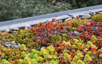 the cost of The Gutter green roof installation