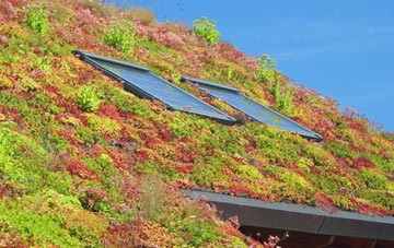 The Gutter living roof systems