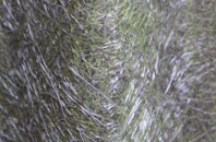 The Gutter fibreglass roof work