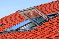 The Gutter roof window